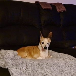 Meet your Posher, Jenny